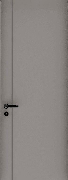 Elegant Modern Door 1