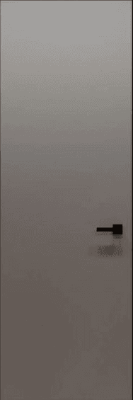 Stylish Modern Door 2