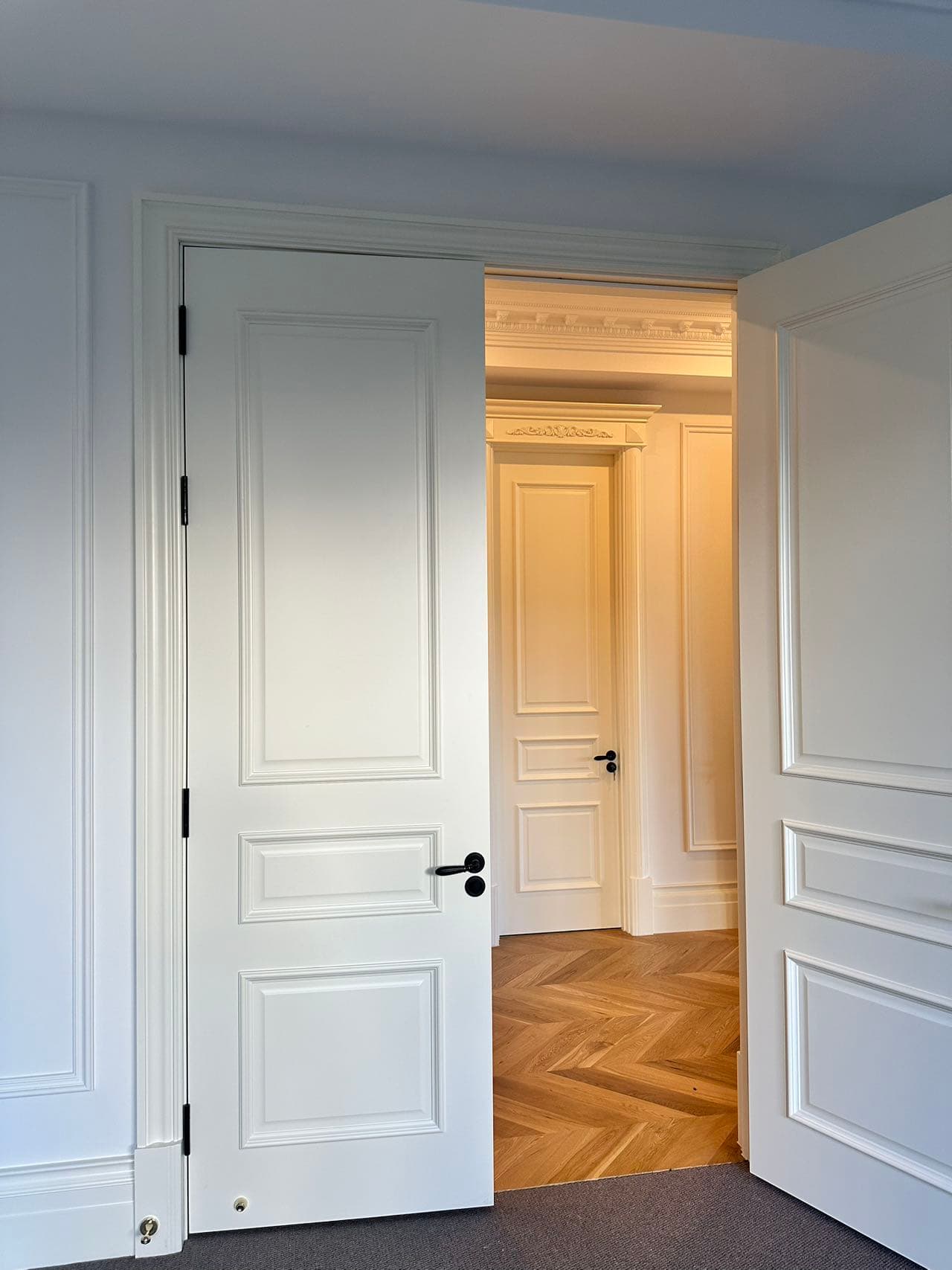 Modern Internal Door 3