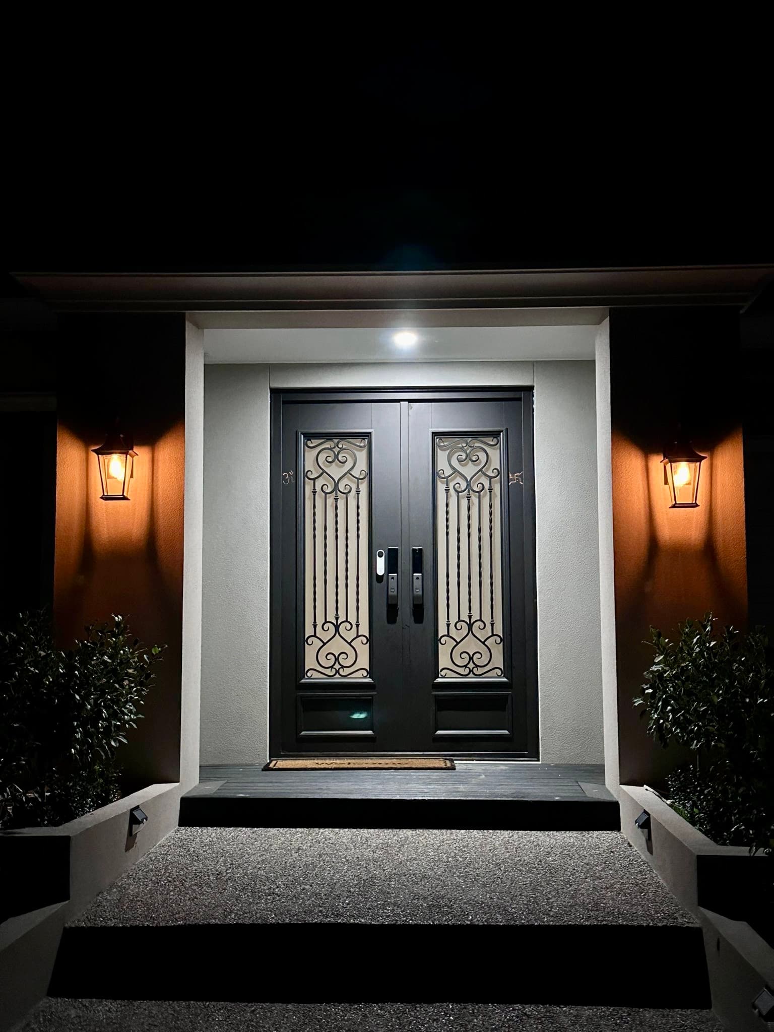 Elegant Iron Door 6